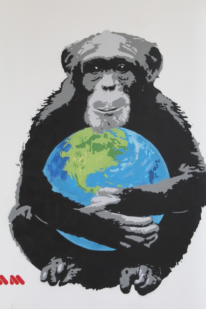 murals monkey world free photo