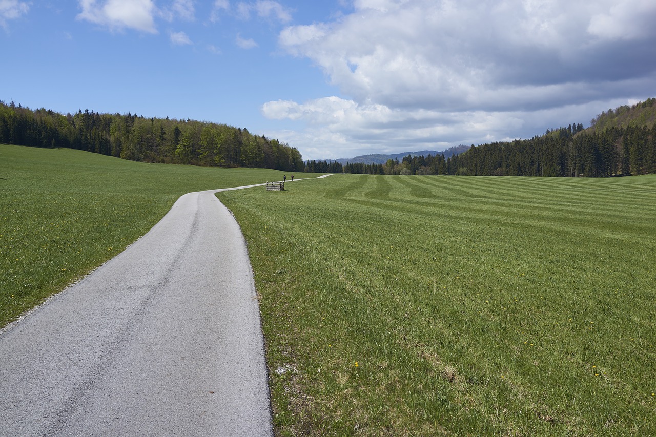 muran muránska planina grass free photo