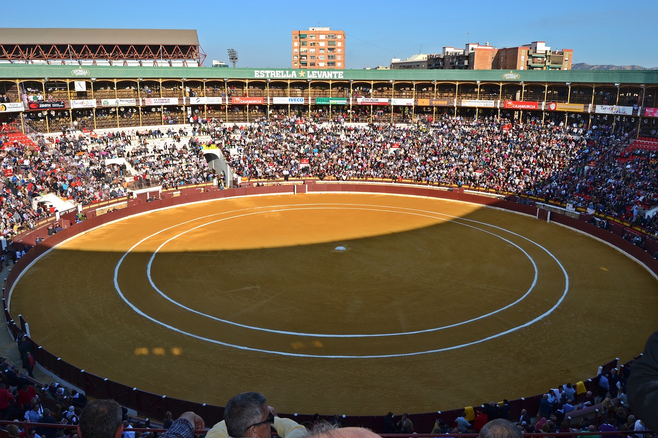 murcia bulls bullring free photo