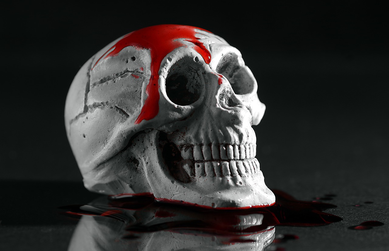 murder skull blood free photo