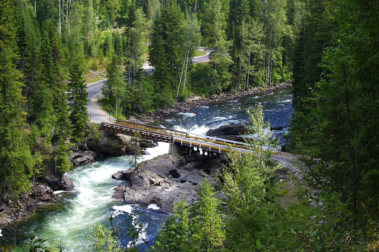 murtle river mushbowl bridge wells gray provincial park free photo