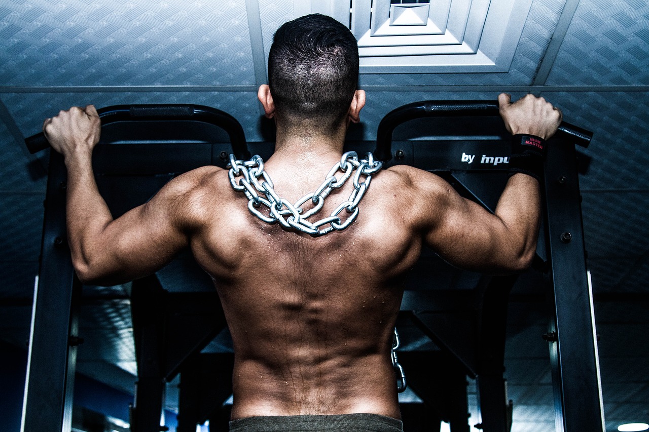 muscle gym training free photo