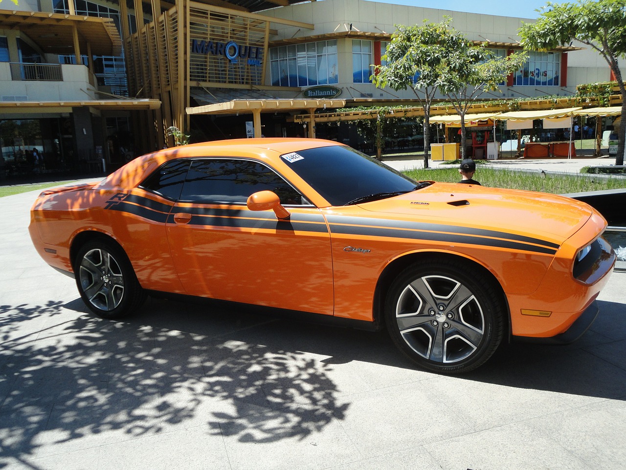 muscle car challenger orange free photo