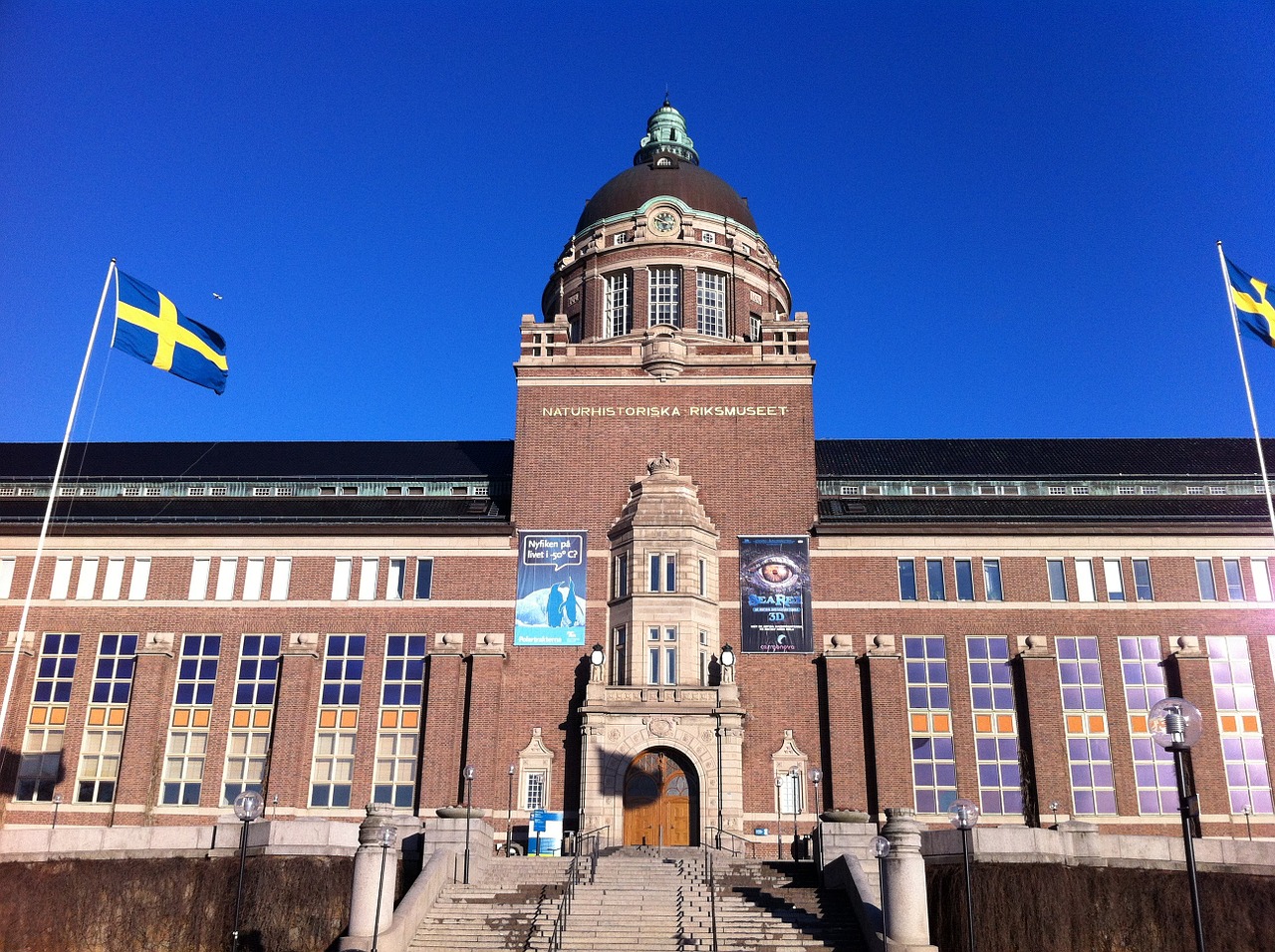 swedish museum of natural history museum sweden free photo