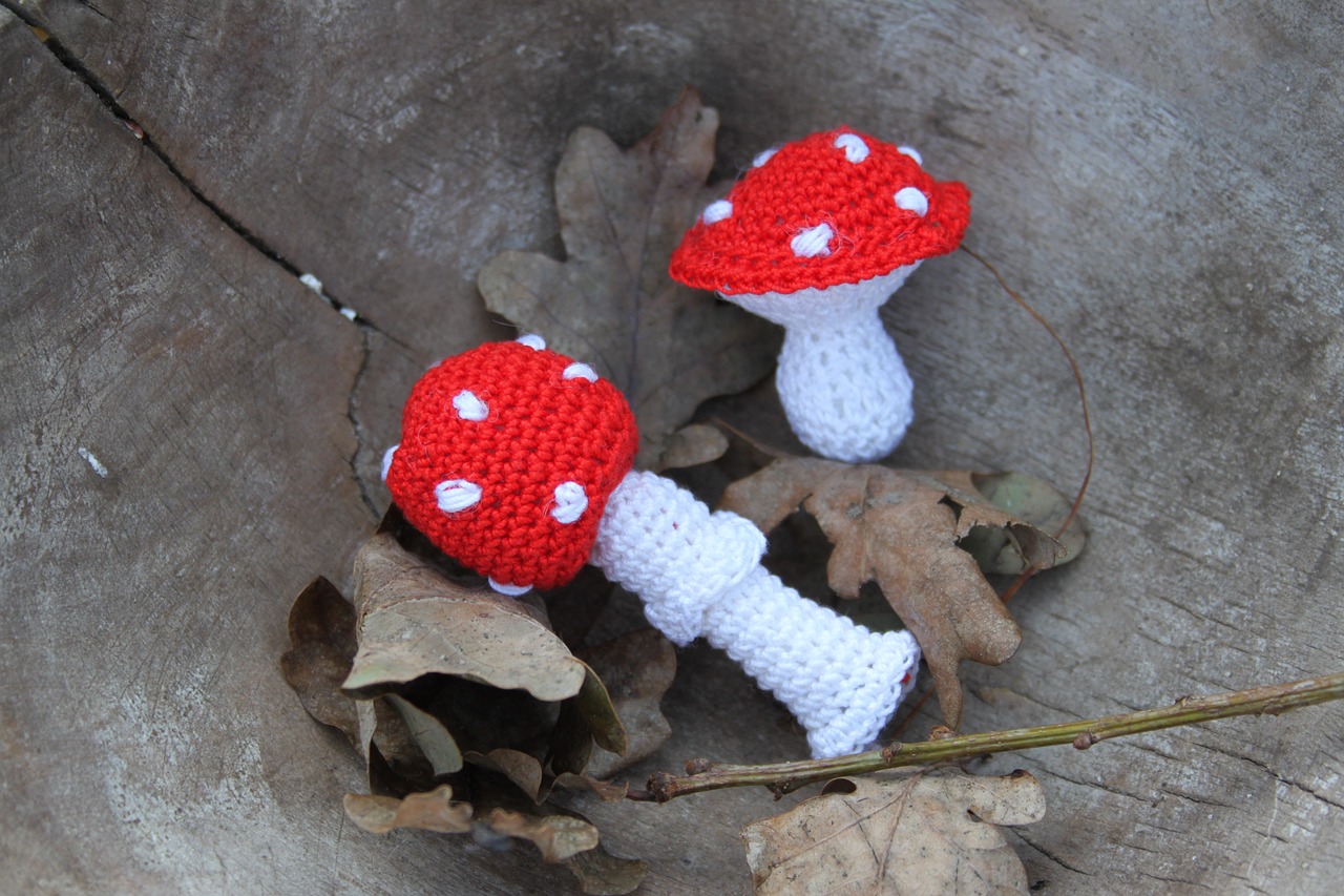 mushroom fly agaric knitted free photo
