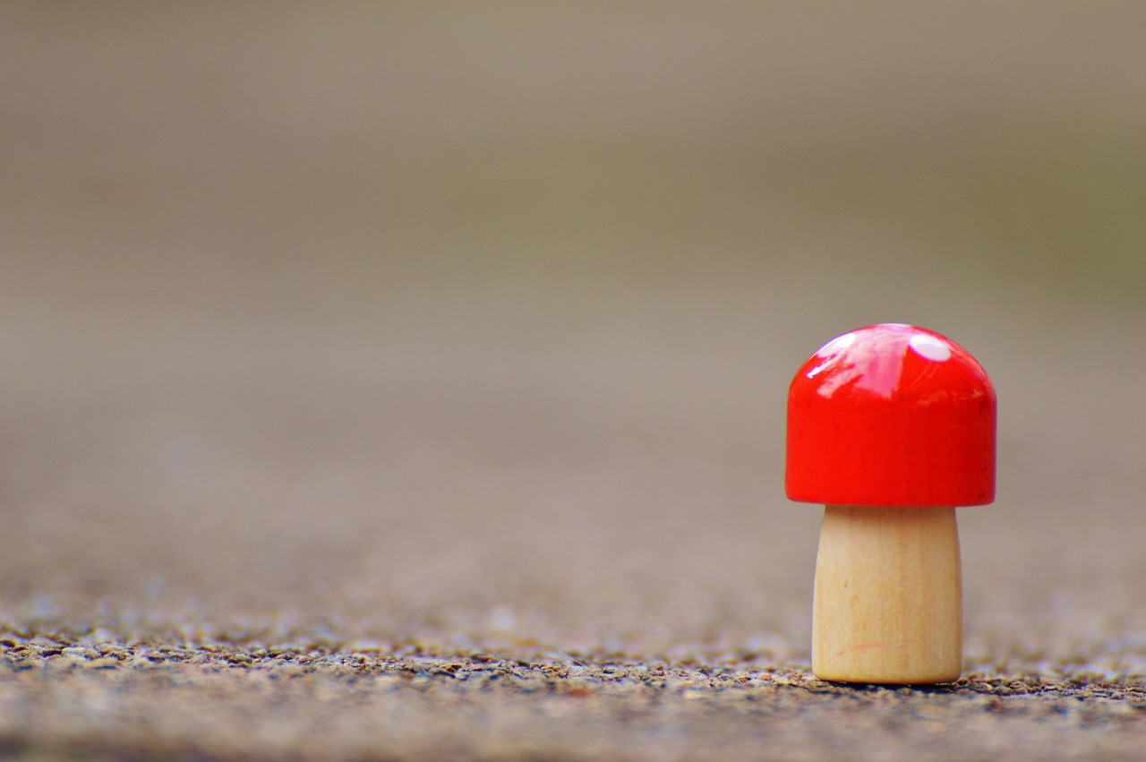 mushroom lucky guy wood free photo