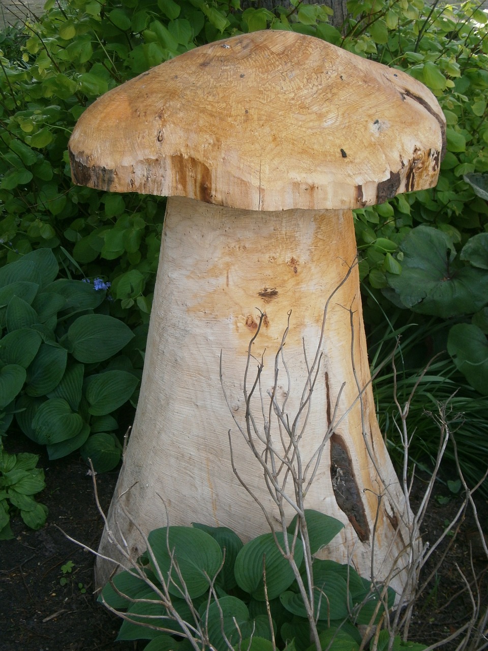 mushroom wood sculpture free photo