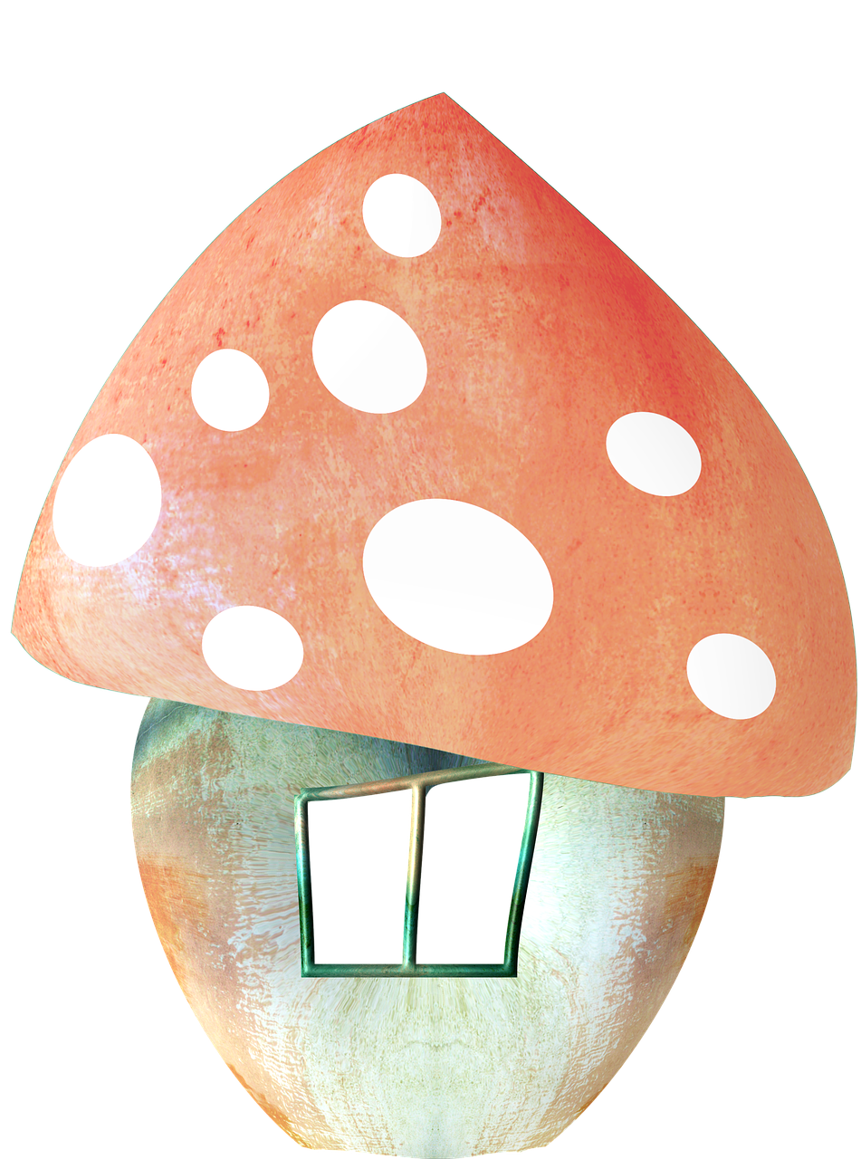 mushroom mushroom house autumn free photo