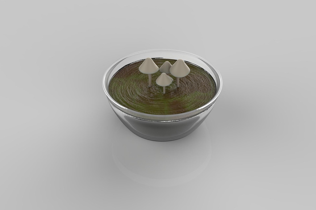 mushroom 3d bowl free photo