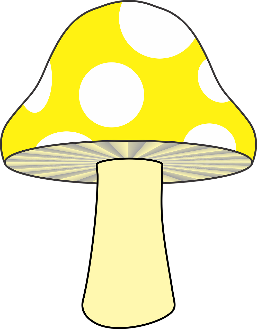mushroom nature yellow mushroom free photo