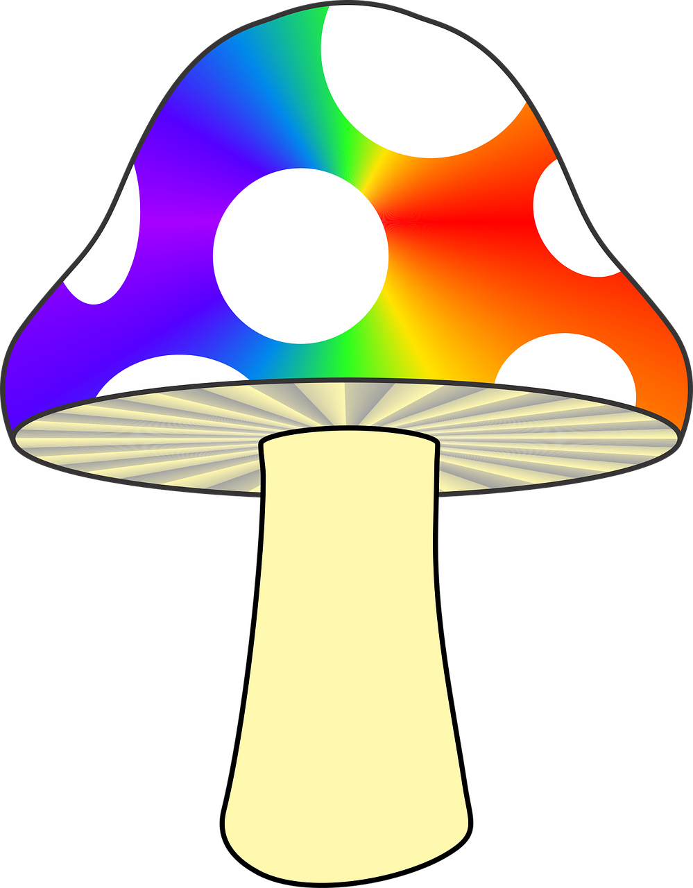 mushroom nature colorful mushroom free photo