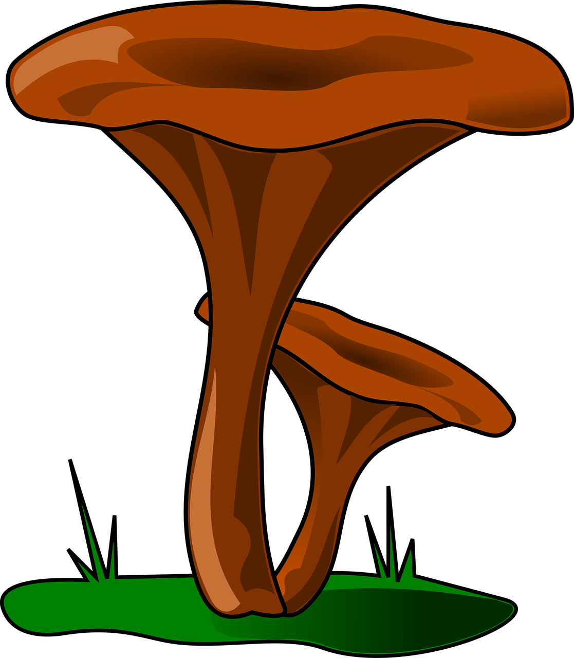 mushroom i robezuelo fúngidos free photo
