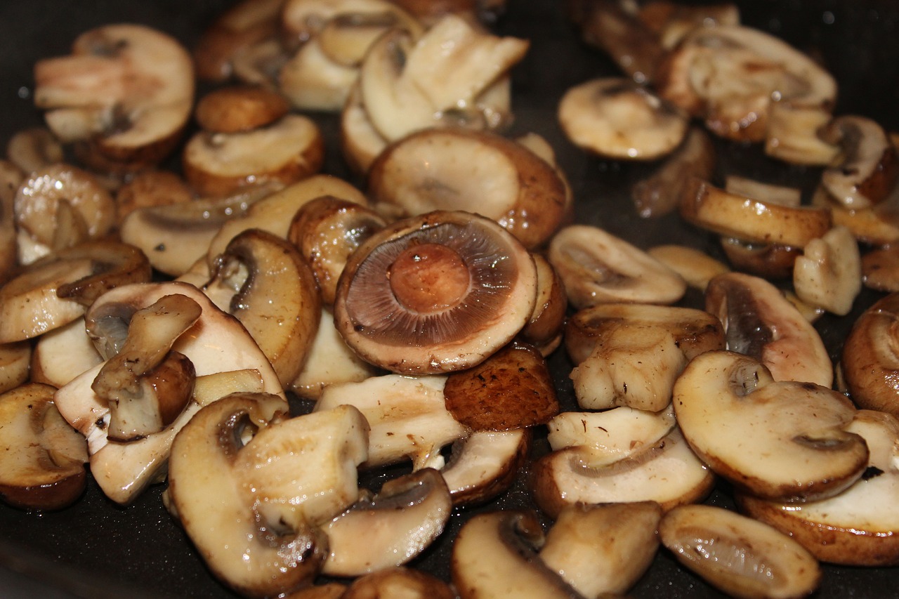 mushroom cooking sear free photo