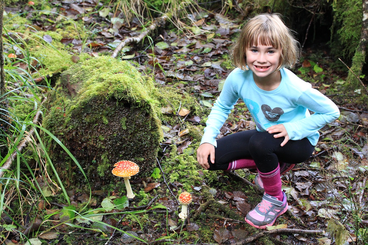 mushroom child forest free photo