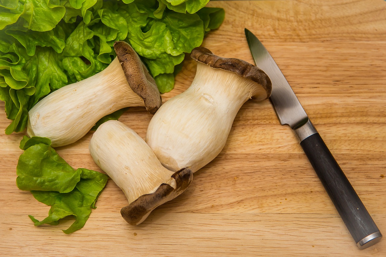 mushroom oyster pleurotus eryngii free photo