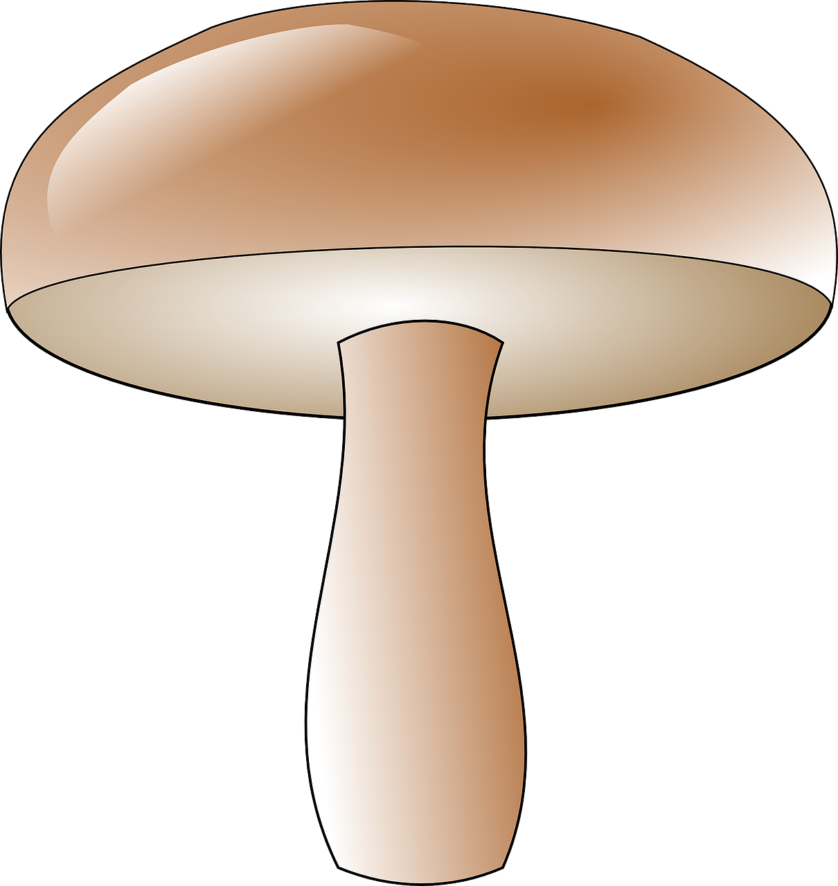 mushroom toadstool fungus free photo