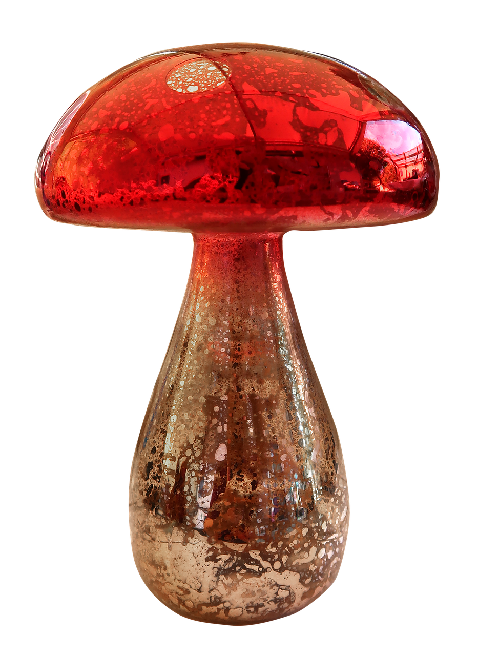 mushroom  fly agaric  toadstool free photo