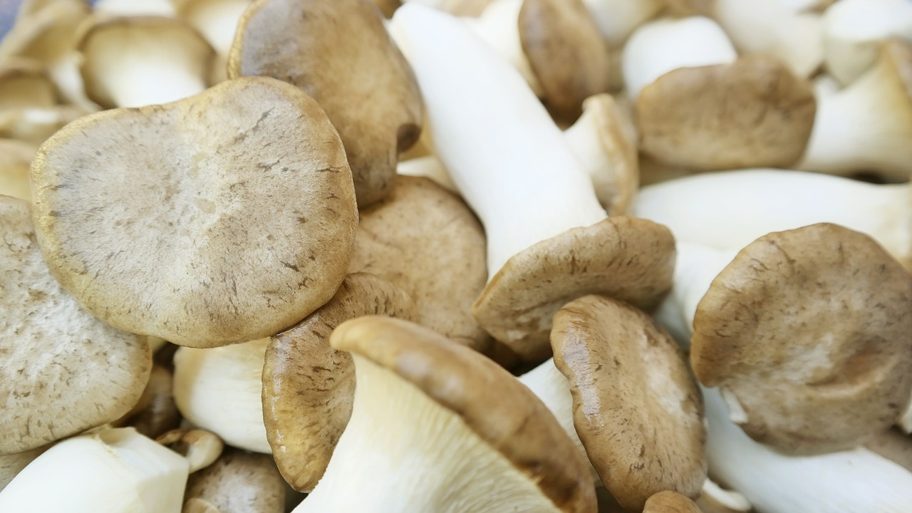 mushroom vegetables vegetable free photo