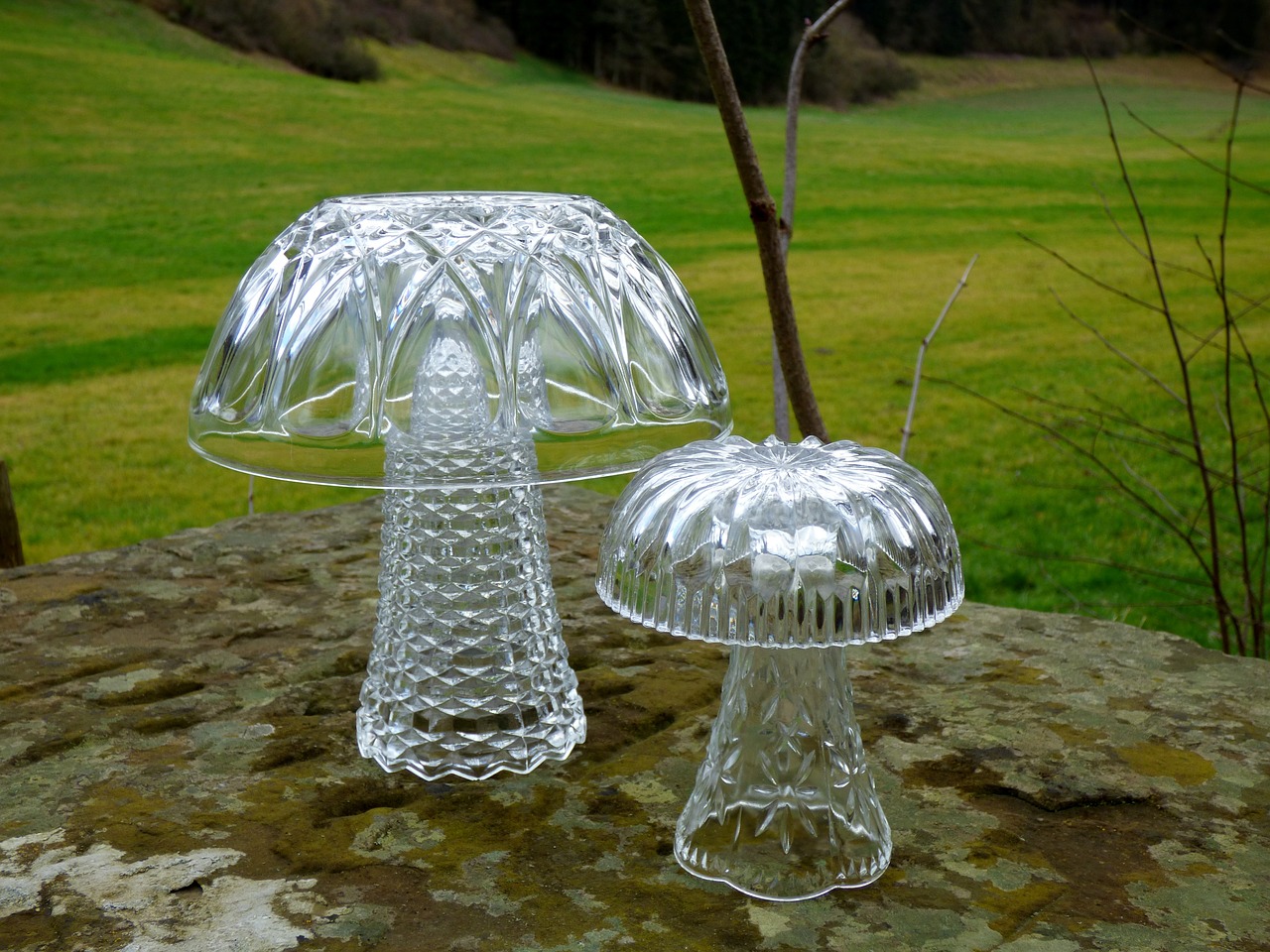 mushroom glass mushroom decoration free photo