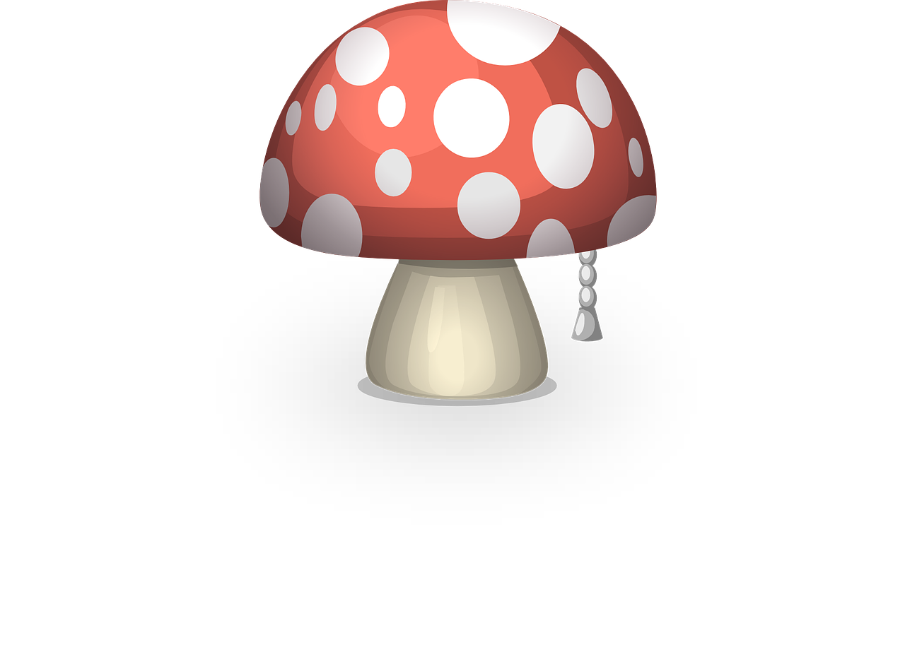 mushroom fungus toadstool free photo
