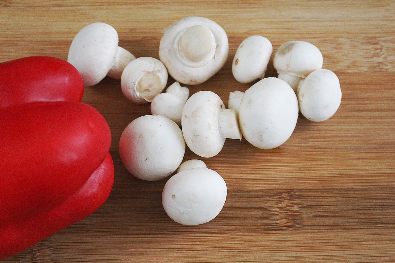 mushroom mushrooms white mushroom free photo