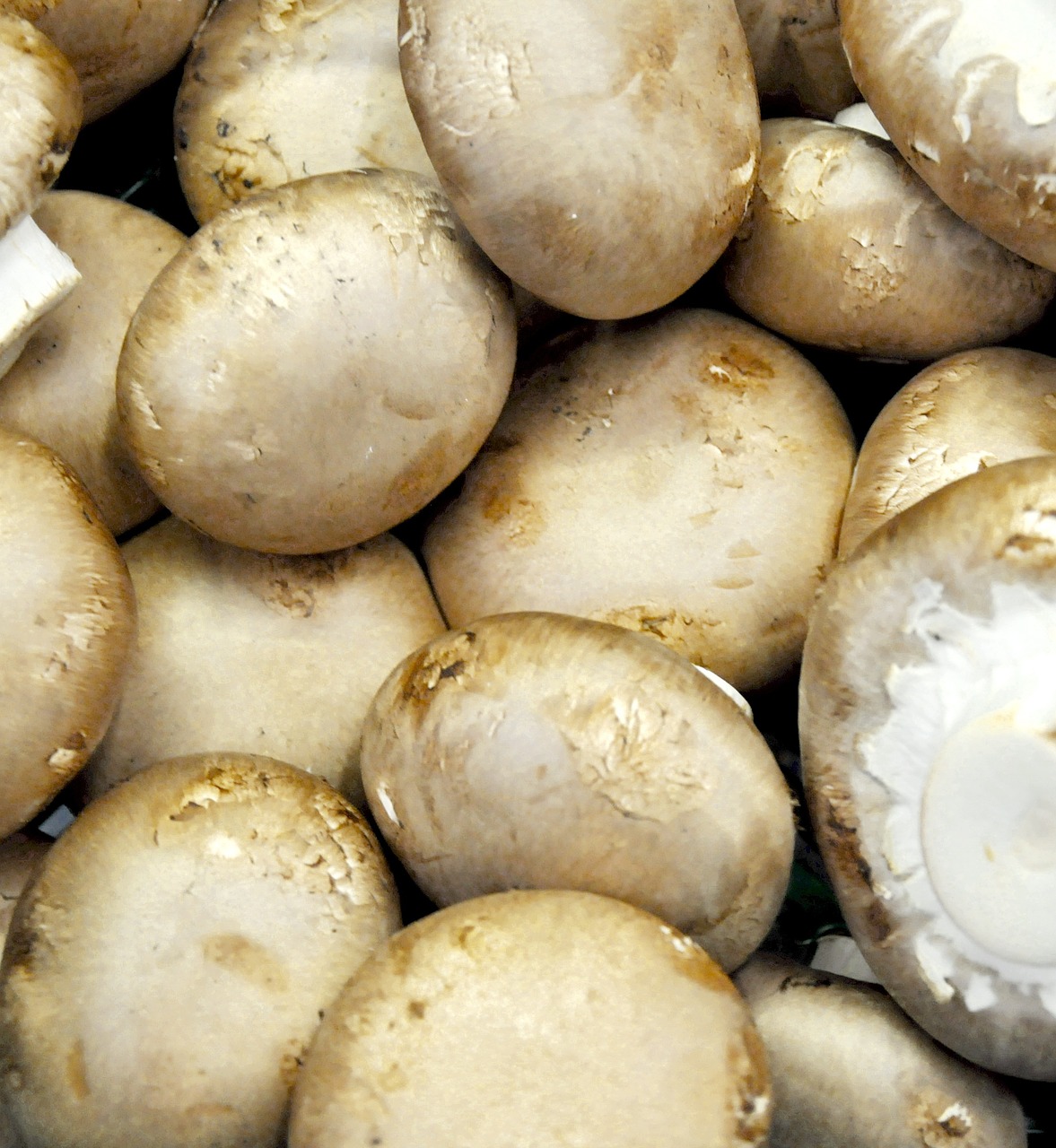 mushroom vegetables food free photo