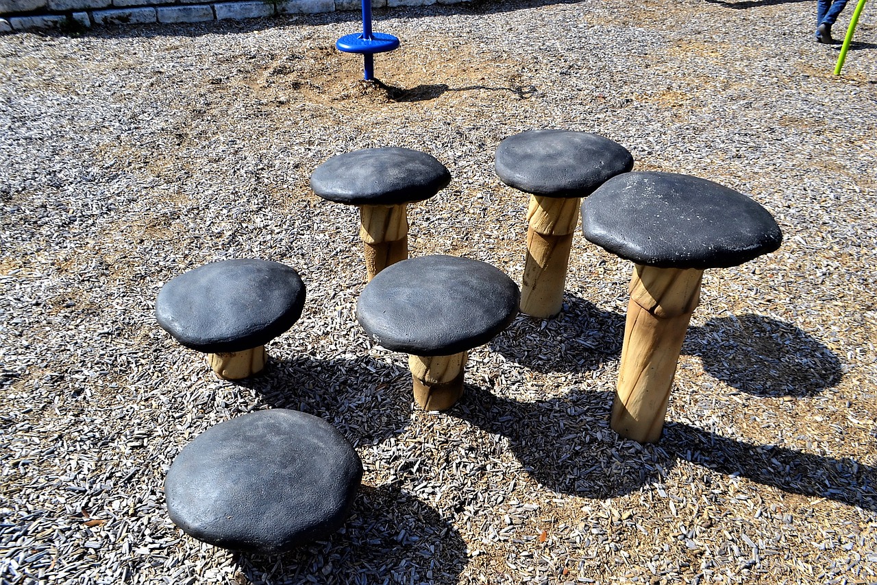 mushroom seats mushrooms park free photo