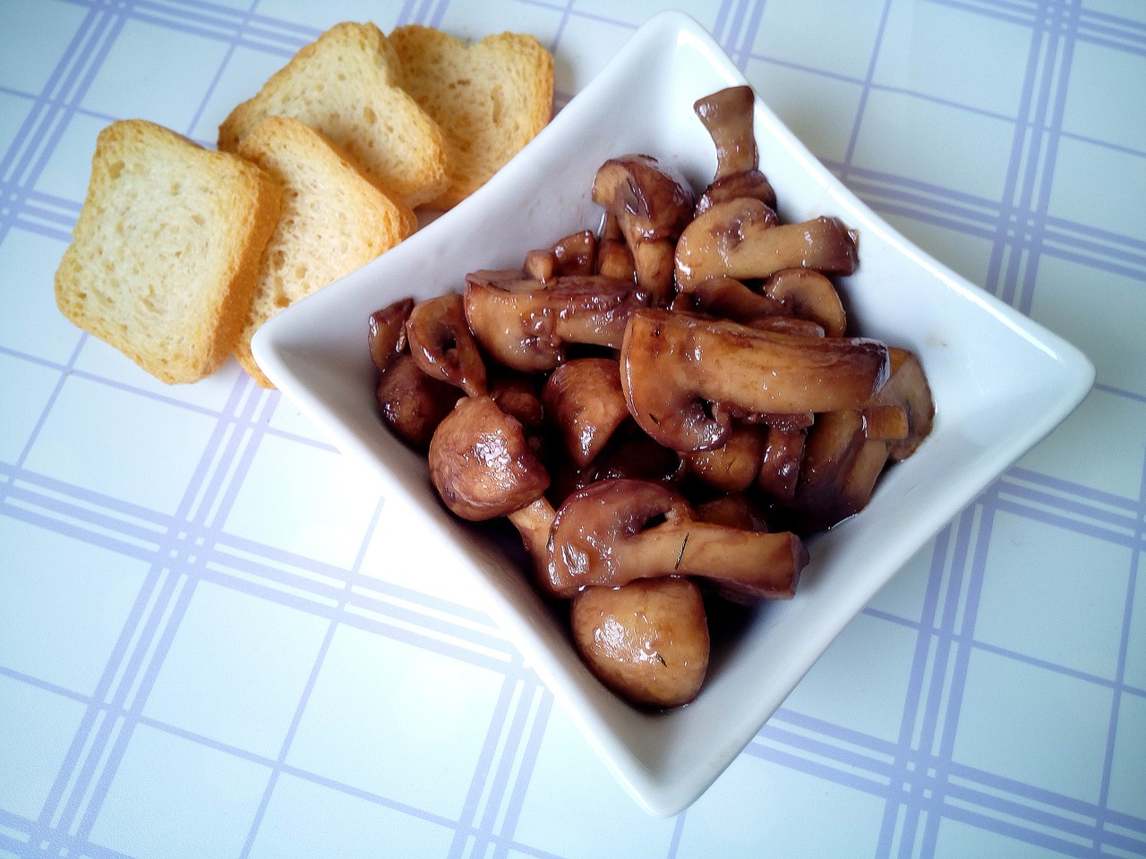 mushrooms mushroom toasts free photo