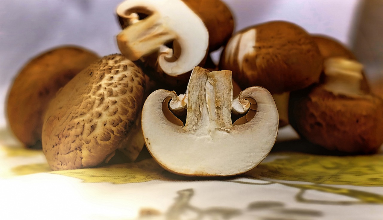 mushrooms brown food free photo