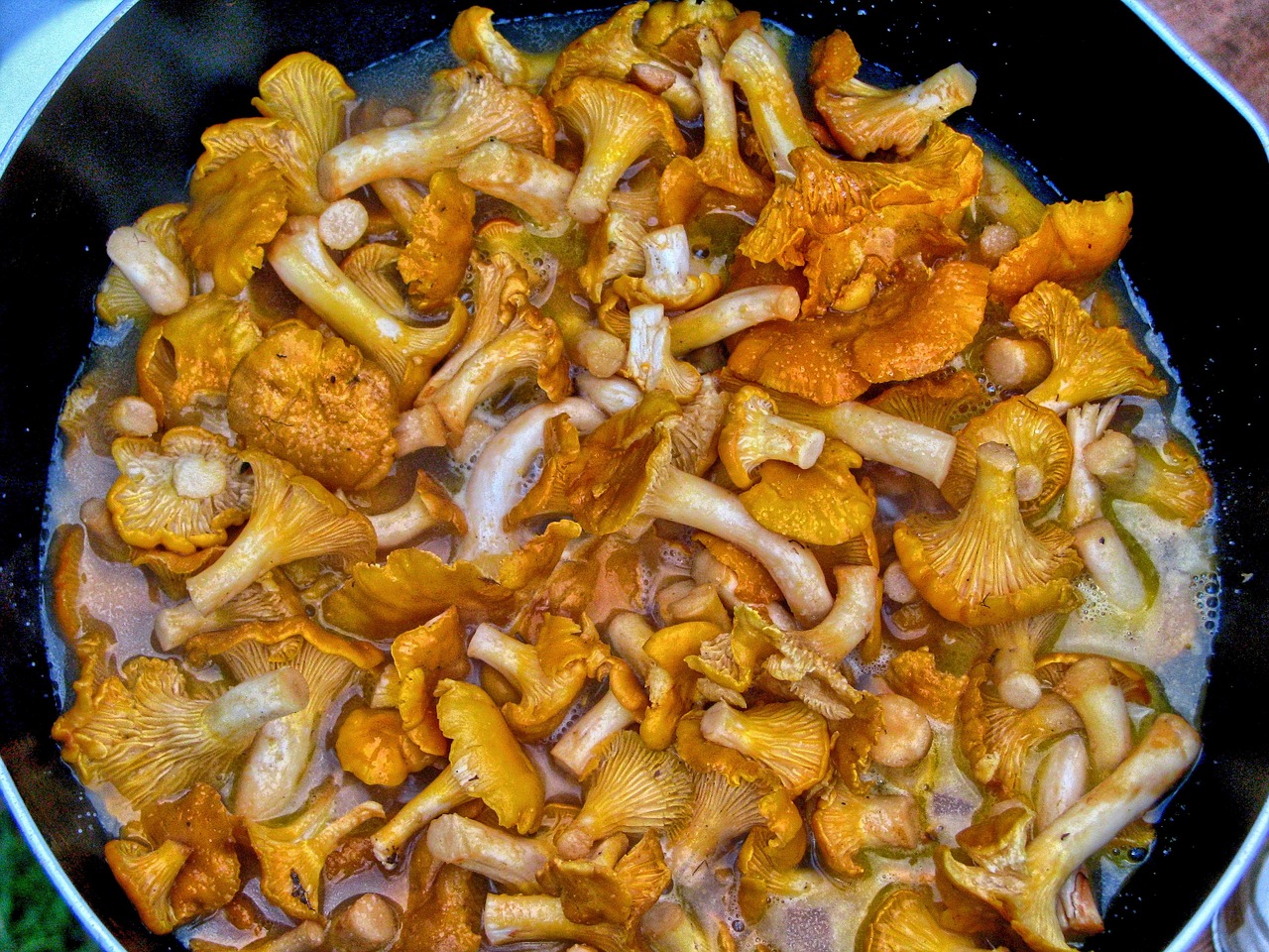 mushrooms cocks cooking free photo