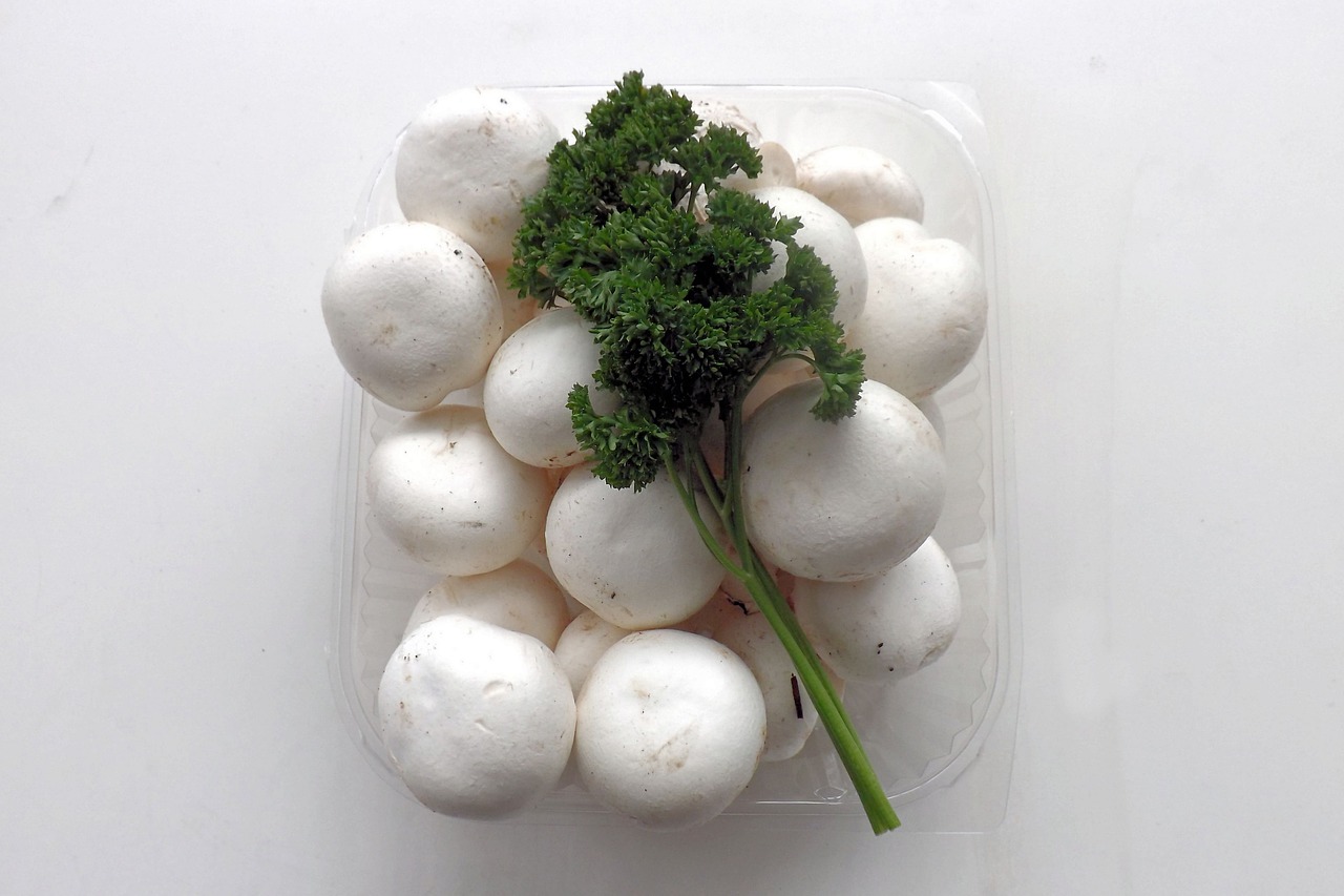 mushrooms white white mushroom free photo