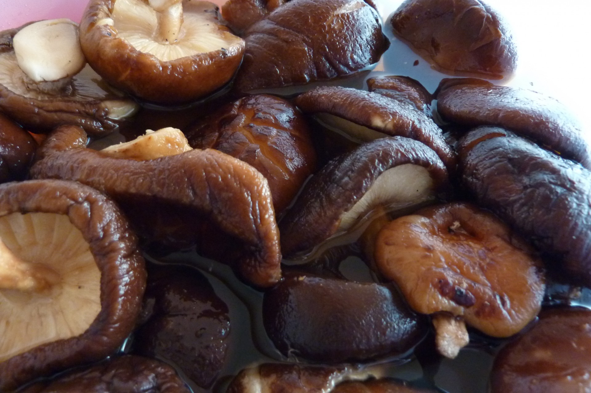 dried mushrooms soaking water mushrooms free photo