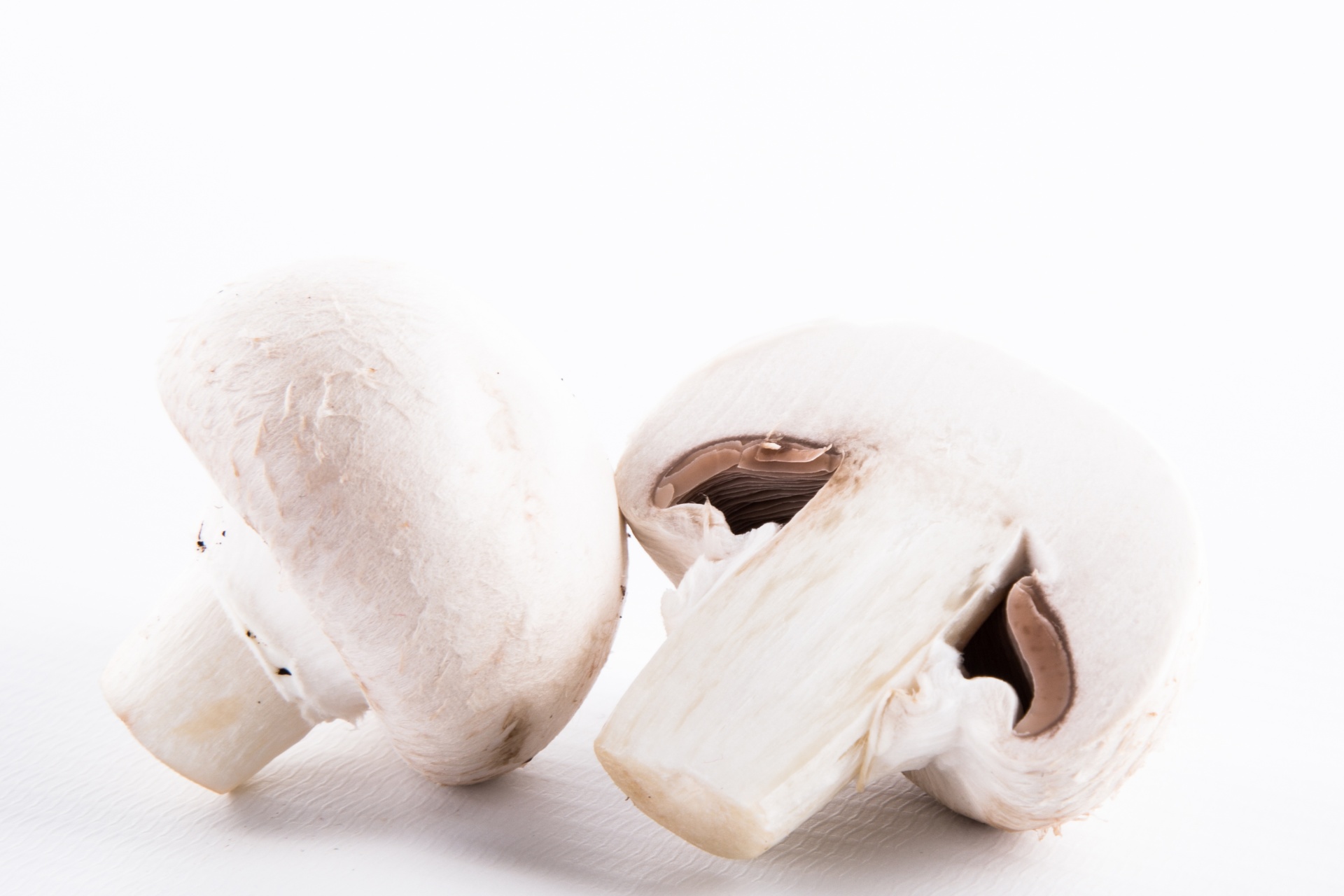 white mushroom closeup free photo