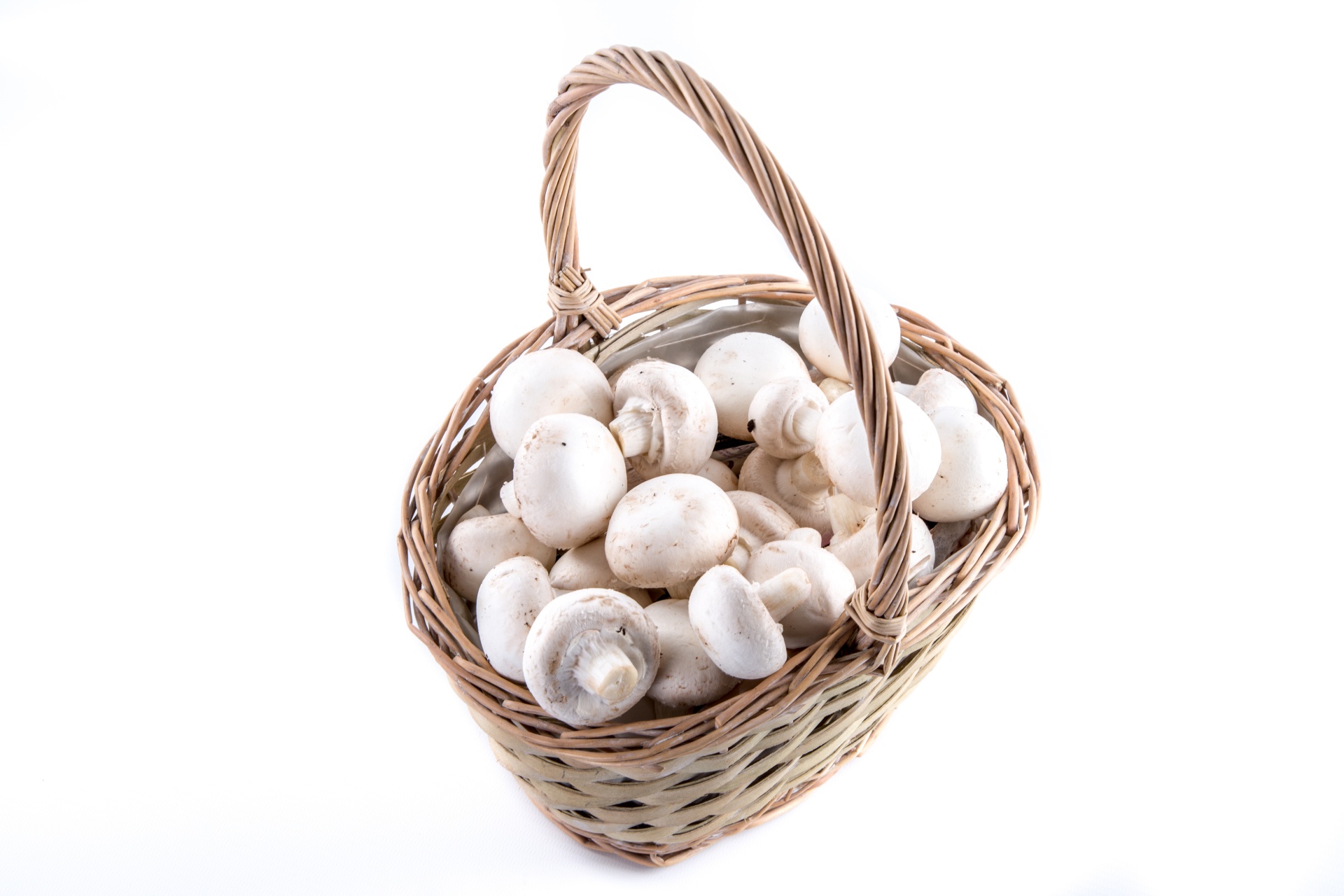 white mushroom closeup free photo