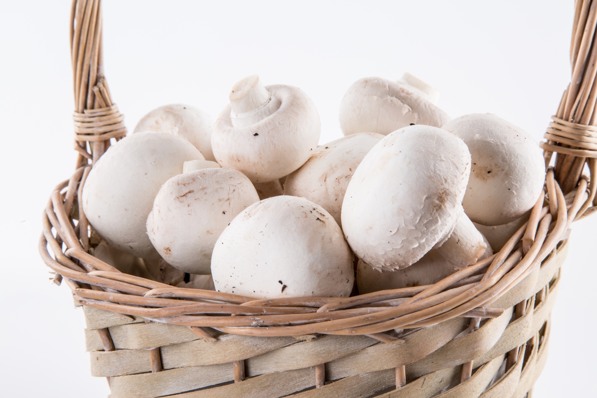 white mushroom closeup free photo