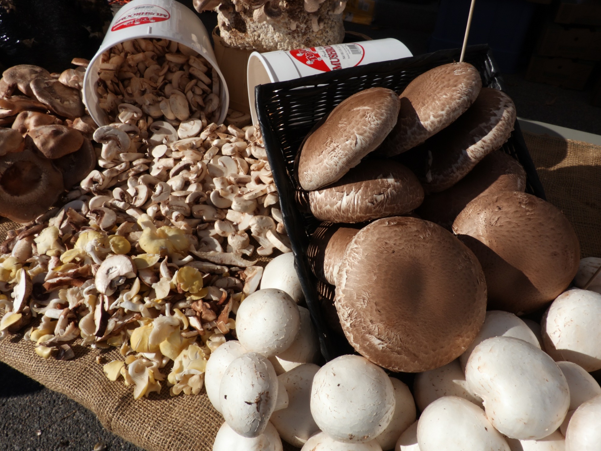 mushrooms farmer's market display free photo