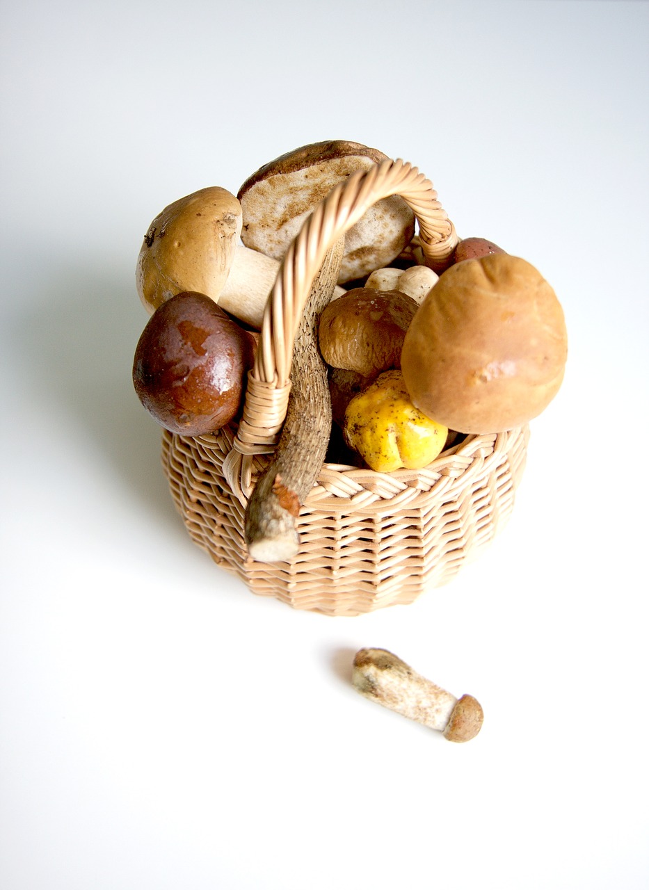 mushrooms still-life food free photo