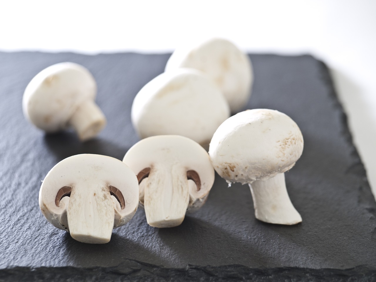 mushrooms meadow delicious free photo
