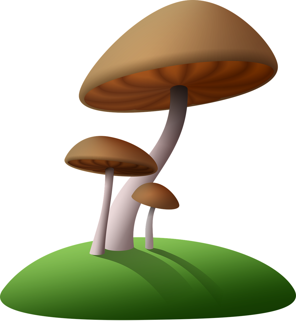 mushrooms island cartoon free photo