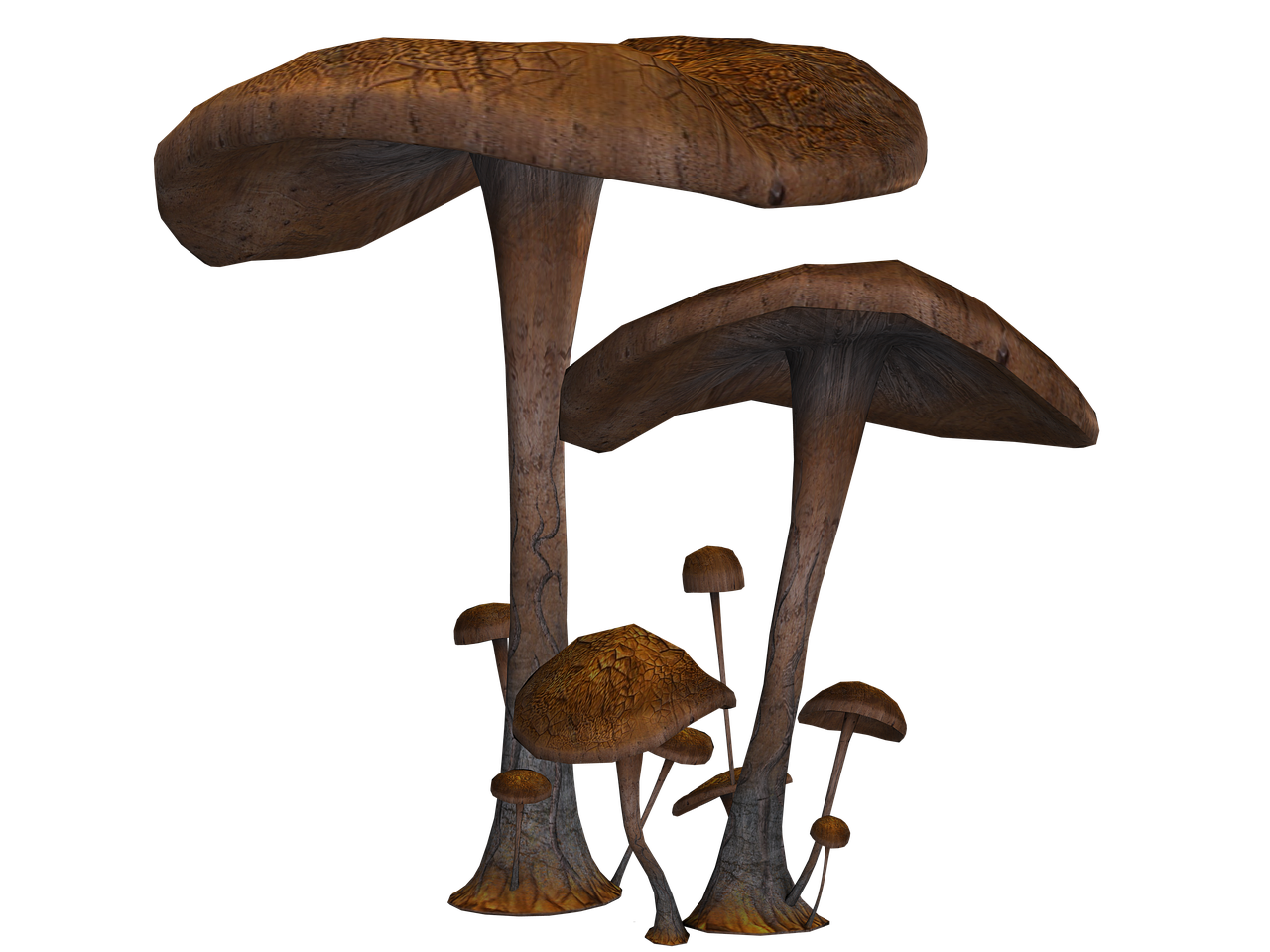 mushrooms fantasy digital art free photo