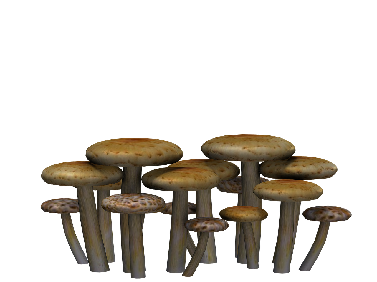 mushrooms fantasy digital art free photo