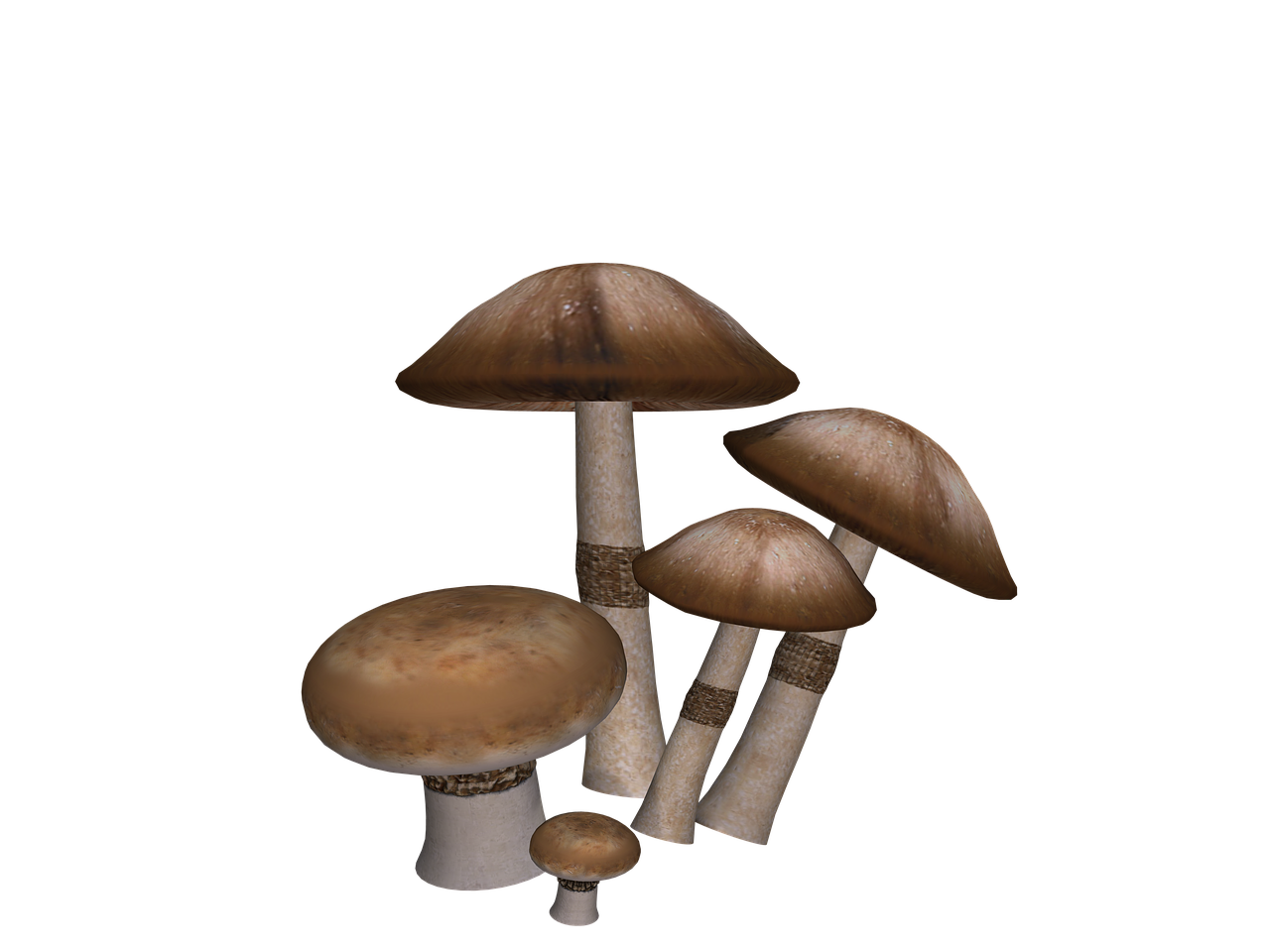 mushrooms fantasy digital art free photo