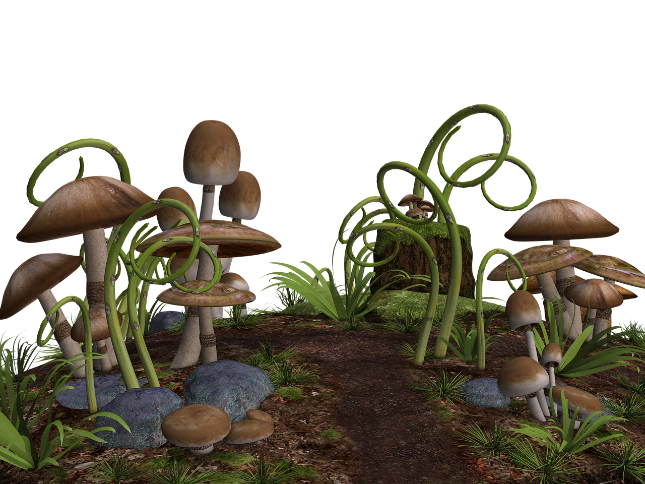 mushrooms mushroom landscape stones free photo