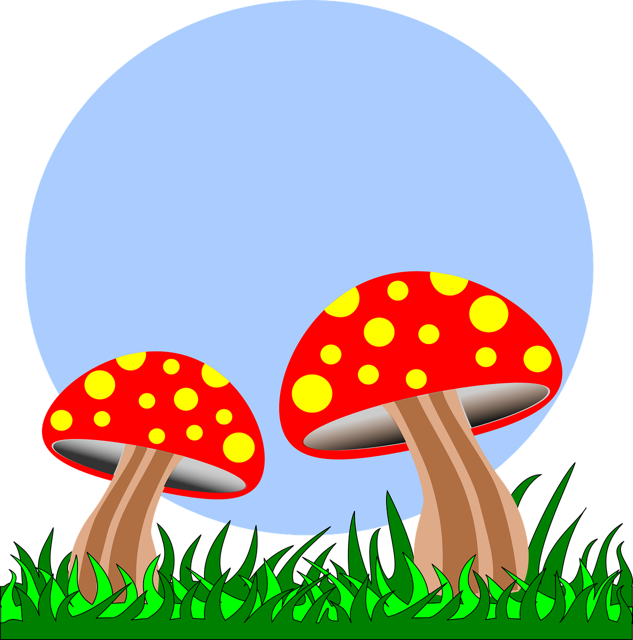 mushrooms field fungus free photo
