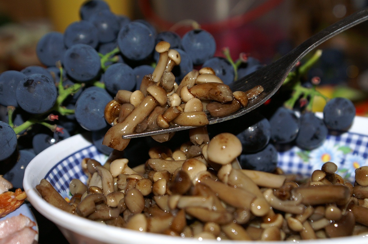 mushrooms pickled mushrooms grapes free photo