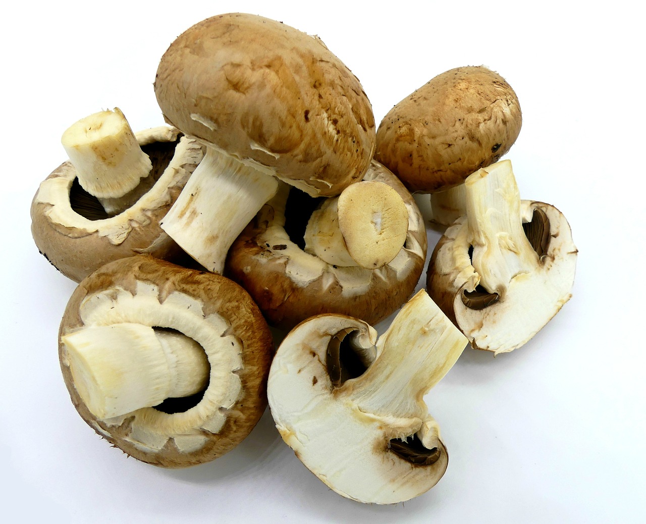 mushrooms brown mushrooms food free photo