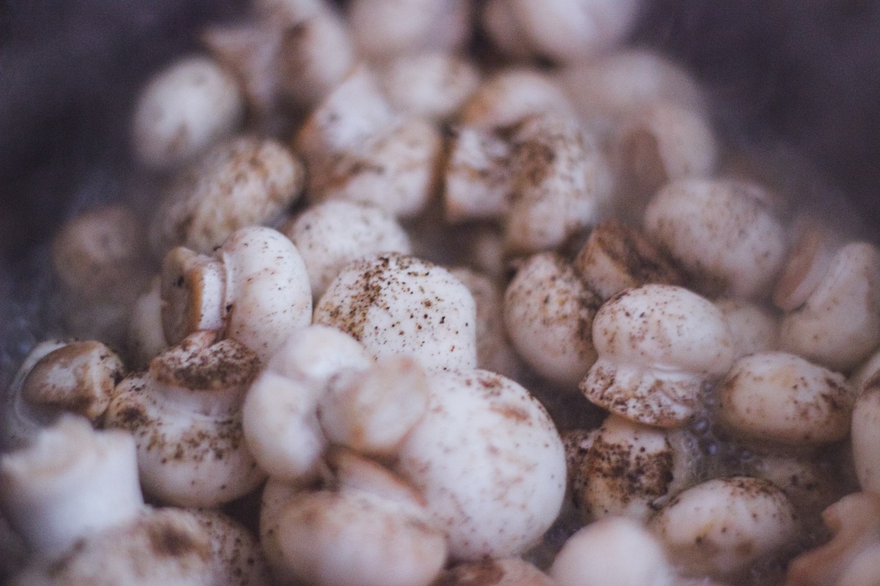 mushrooms vegetables food free photo