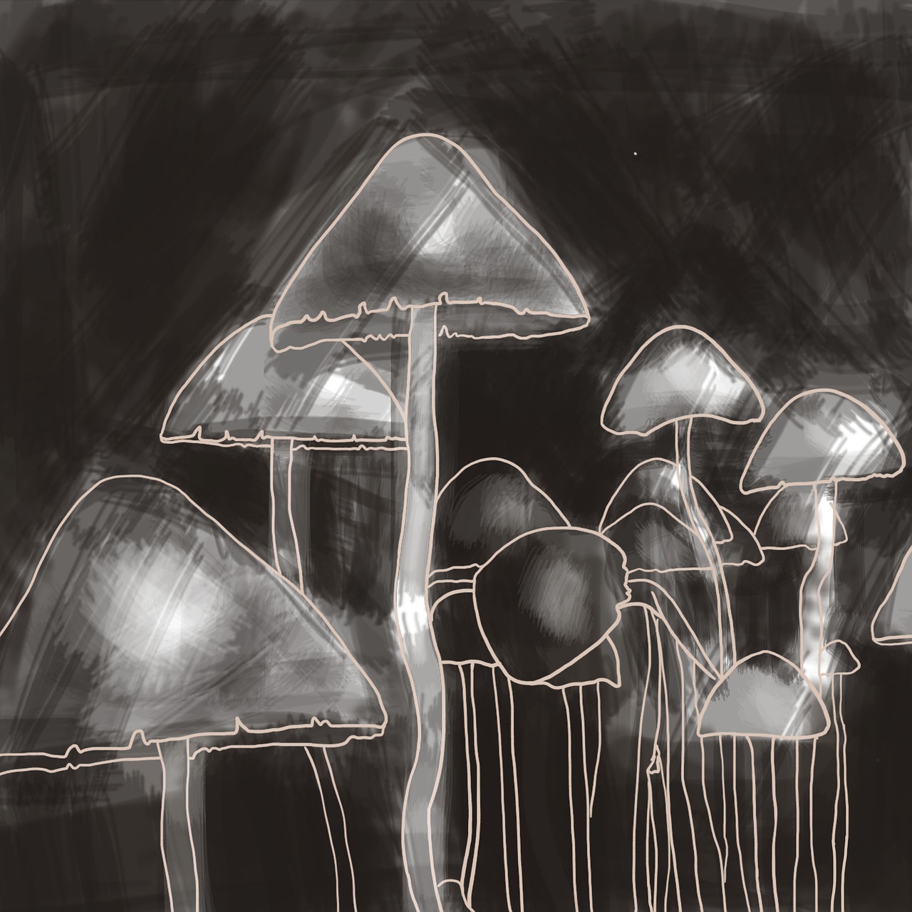 mushrooms graphics drawn free photo