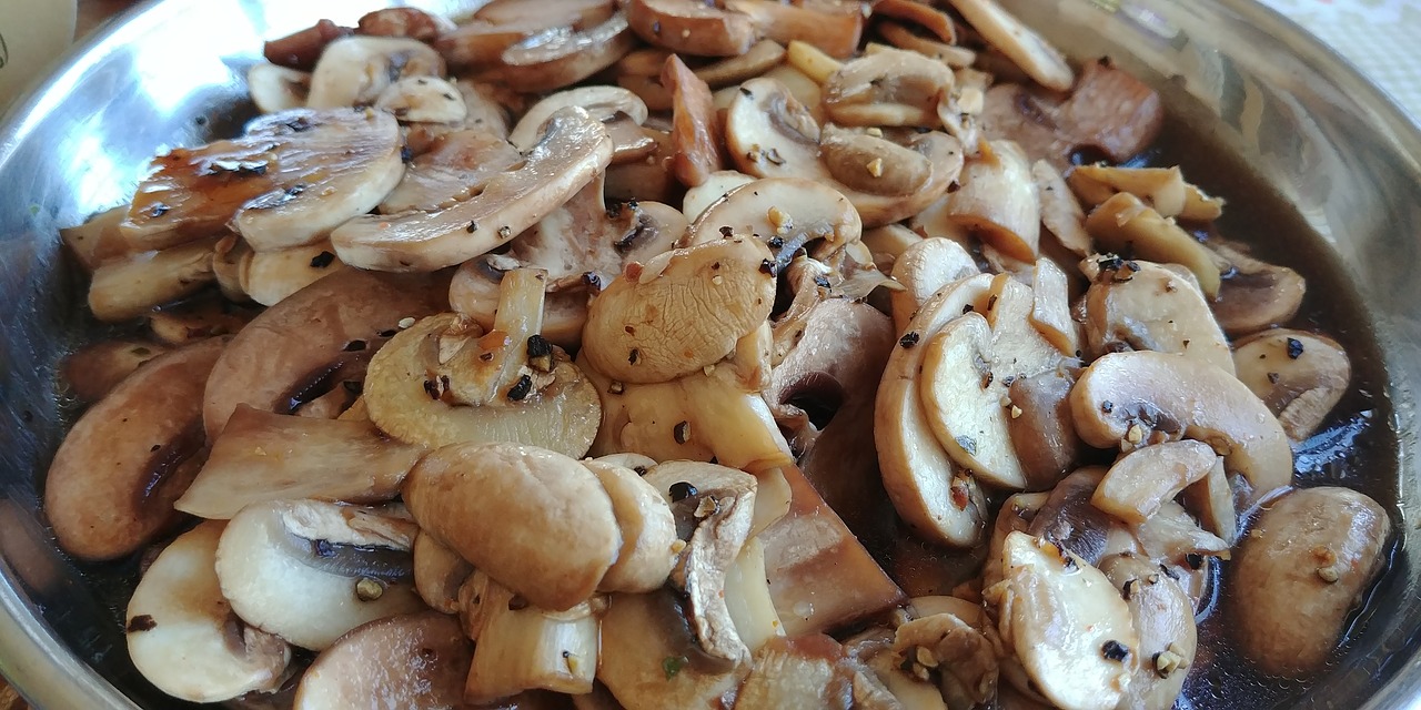 mushrooms healthy vegan free photo