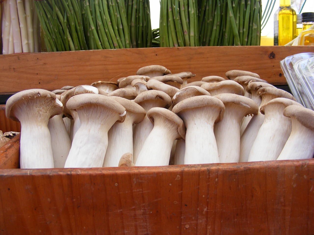 mushrooms mushroom nature free photo